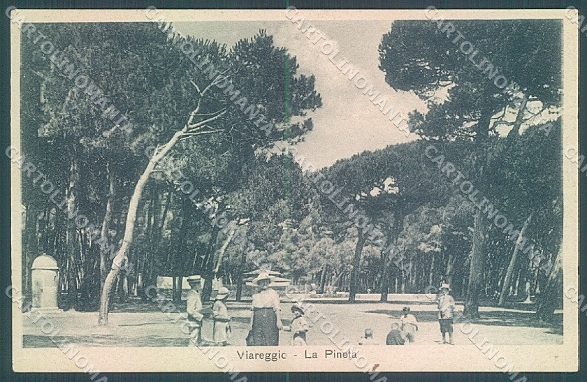 Lucca Viareggio Pineta cartolina JK7068 – fronte
