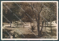 Cosenza Città Giardini Pubblici Foto FG cartolina JK7098 – fronte