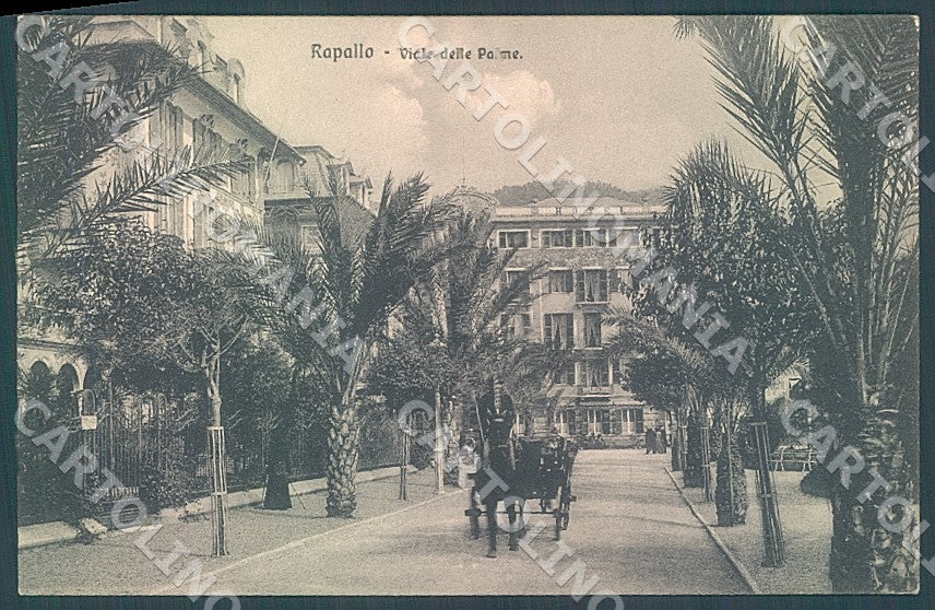 Genova Rapallo Viale delle Palme Brunner 16371 cartolina JK7225 – fronte