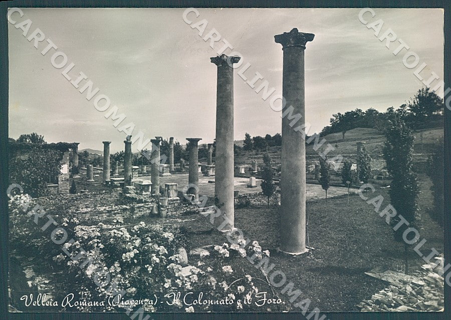 Piacenza Velleia Romana Colonnato Foro Foto FG cartolina JK7276 – fronte