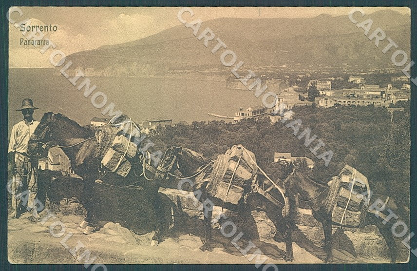 Napoli Sorrento Asino Ragozino cartolina JK7553 – fronte