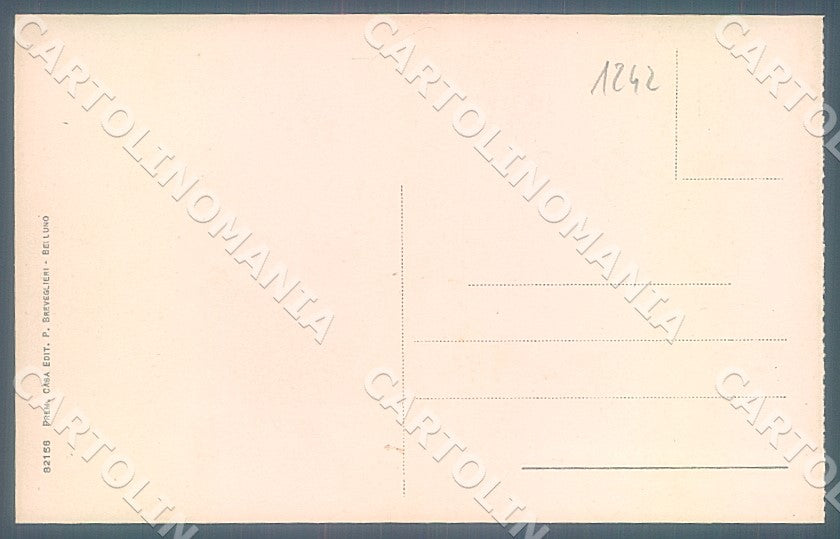 Belluno Città Municipio cartolina JK7591 – retro
