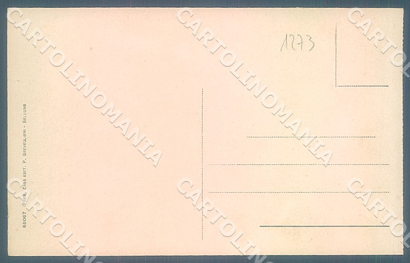 Belluno Città Panorama Torrente Ardo cartolina 1273JK7607 – retro