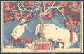 Genova Mineraria italiana Zenonite Pubblicitaria cartolina JK7641 – fronte