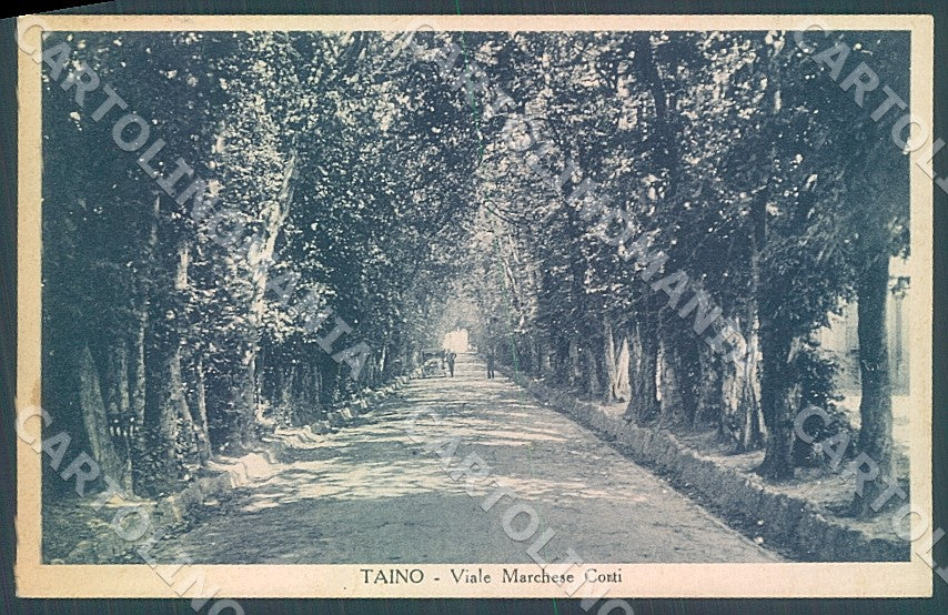 Varese Taino Viale Marchese Corti cartolina JK7825 – fronte