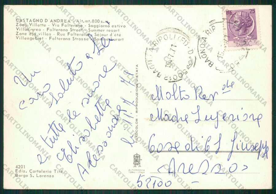 Firenze San Godenzo Castagno d'Andrea PIEGHINE FG cartolina KB0774 – retro