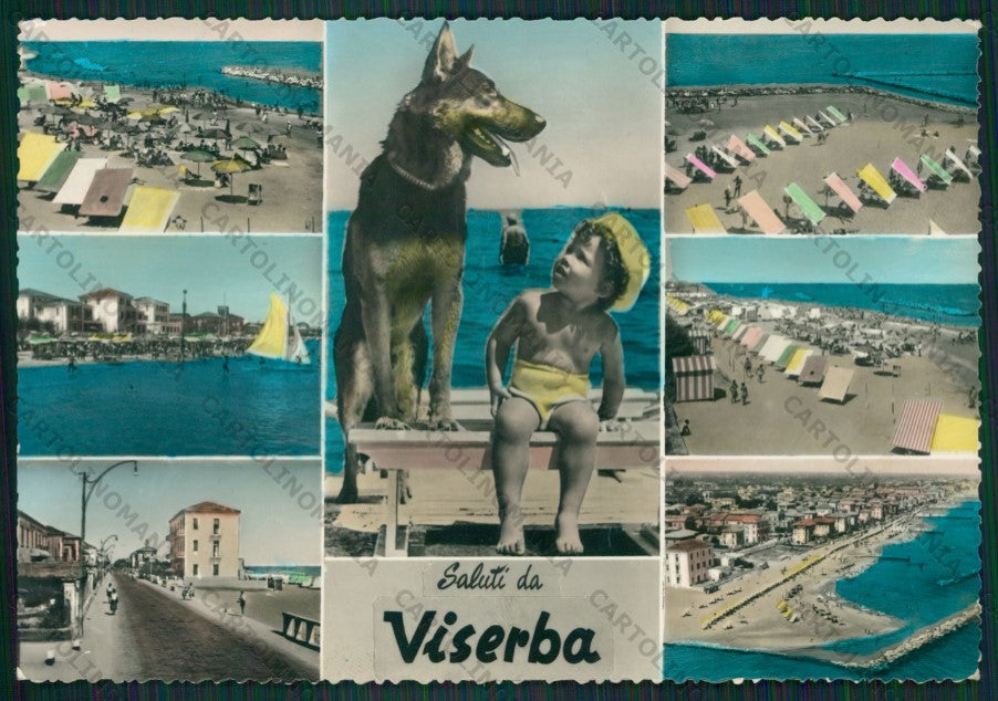 Rimini Viserba Saluti da Cane Pastore Tedesco Foto FG cartolina KB0955 – fronte