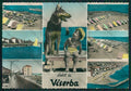 Rimini Viserba Saluti da Cane Pastore Tedesco Foto FG cartolina KB0955 – fronte