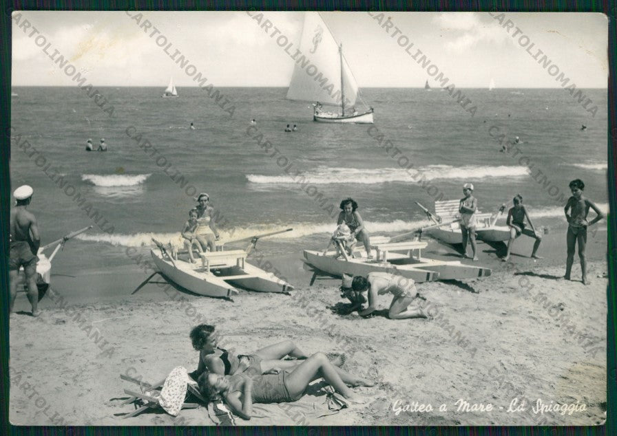 Forlì Gatteo a Mare MACCHIA Foto FG cartolina KB1373 – fronte