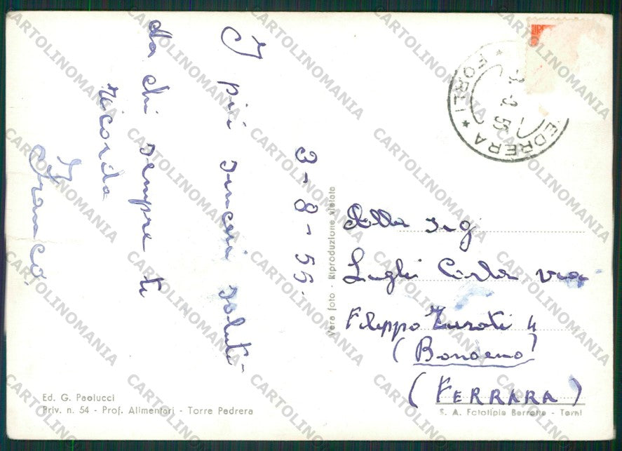 Rimini Torre Pedrera Foto FG cartolina KB1408 – retro