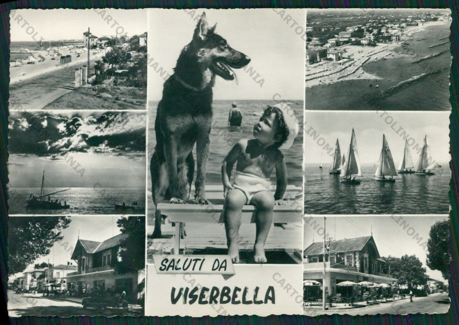Rimini Viserbella Saluti da Cane Pastore Tedesco Foto FG cartolina KB1425 – fronte