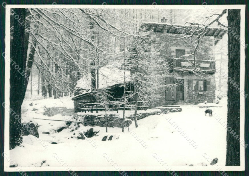 Aosta Champoluc Casa Bossi Foto FG cartolina KB1559 – fronte