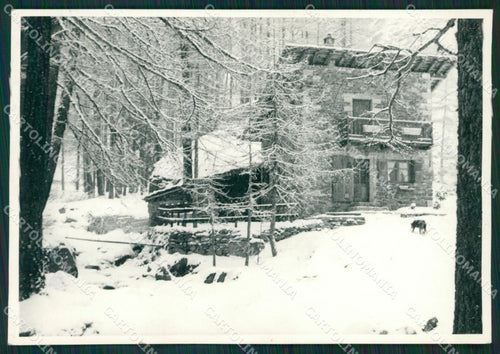 Aosta Champoluc Casa Bossi Foto FG cartolina KB1559 – fronte