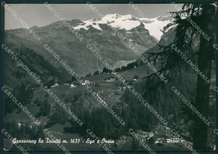 Aosta Gressoney la Trinitè Eyo Orsia PIEGHINA Foto FG cartolina KB1584 – fronte