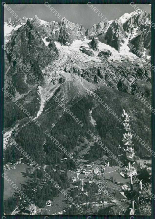 Aosta Courmayeur Foto FG cartolina KB1586 – fronte