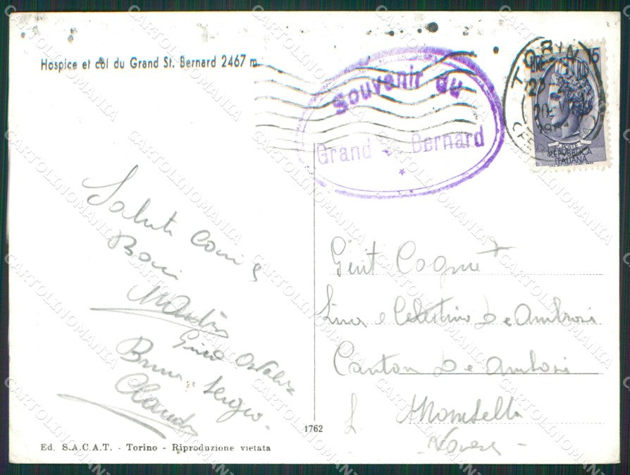 Aosta Colle Gran San Bernardo Cane Foto FG cartolina KB1598 – retro