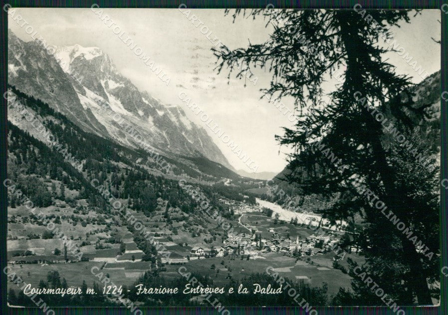 Aosta Courmayeur Entrèves Palud Foto FG cartolina KB1624 – fronte