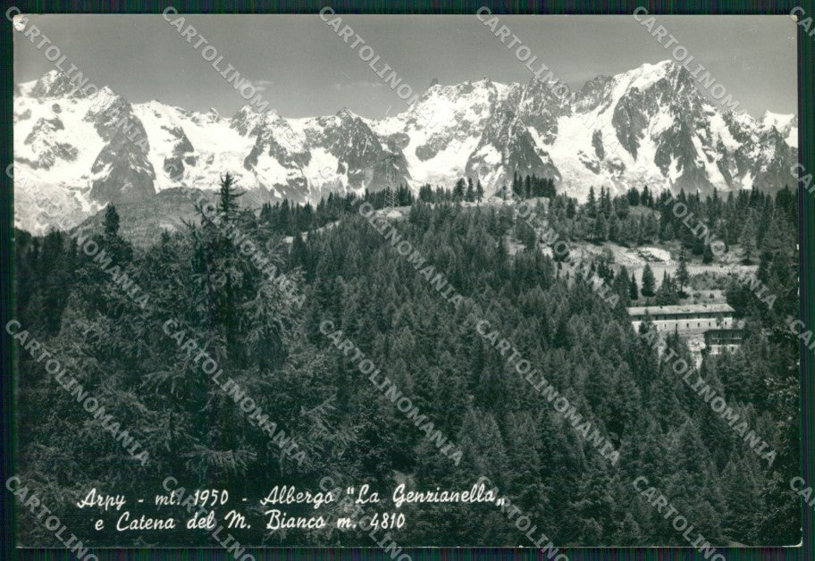 Aosta Morgex Arpy Catena Monte Bianco Foto FG cartolina KB1697 – fronte