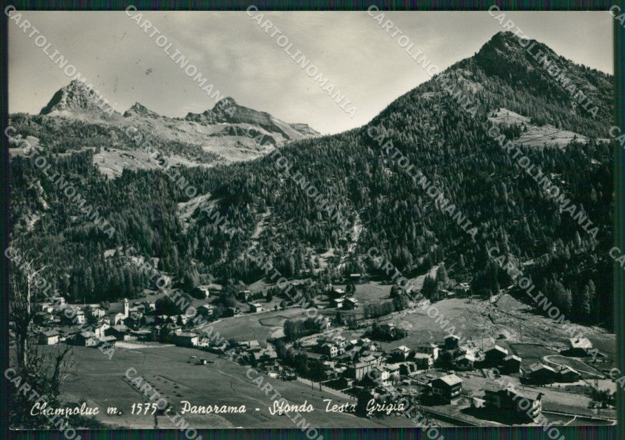Aosta Ayas Champoluc Testa Grigia Foto FG cartolina KB1724 – fronte