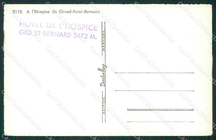 Aosta Gran San Bernardo Cane Foto cartolina KB1769 – retro
