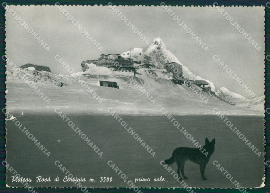 Aosta Valtournenche Cervinia Plateau Rosà STRAPPO Foto FG cartolina KB1802 – fronte