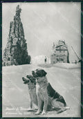 Aosta Piccolo San Bernardo Nevicata Cane Foto FG cartolina KB1827 – fronte