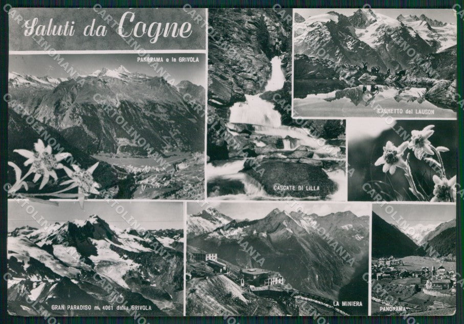 Aosta Cogne Saluti da Stella Alpina Foto FG cartolina KB1900 – fronte