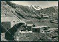 Aosta Gran San Bernardo Cane PIEGHINA Foto FG cartolina KB1918 – fronte