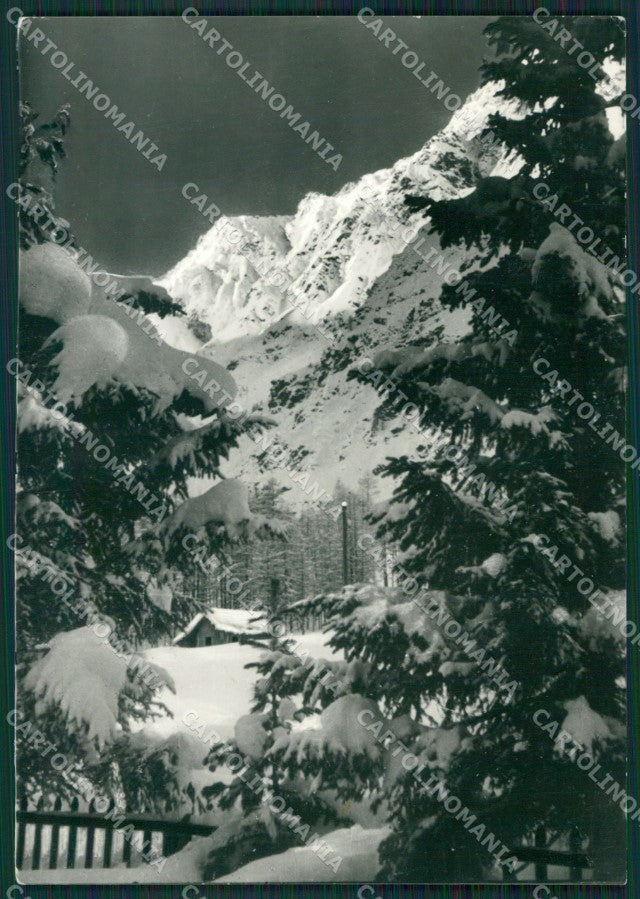 Aosta Rhémes Notre Dame Nevicata Foto FG cartolina KB1942 – fronte