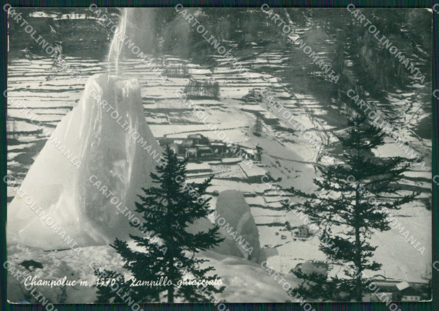 Aosta Ayas Champoluc Nevicata Foto FG cartolina KB1949 – fronte