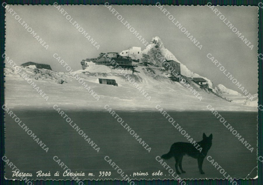 Aosta Valtournenche Cervinia Plateau Rosà PIEGHINA Foto FG cartolina KB1950 – fronte