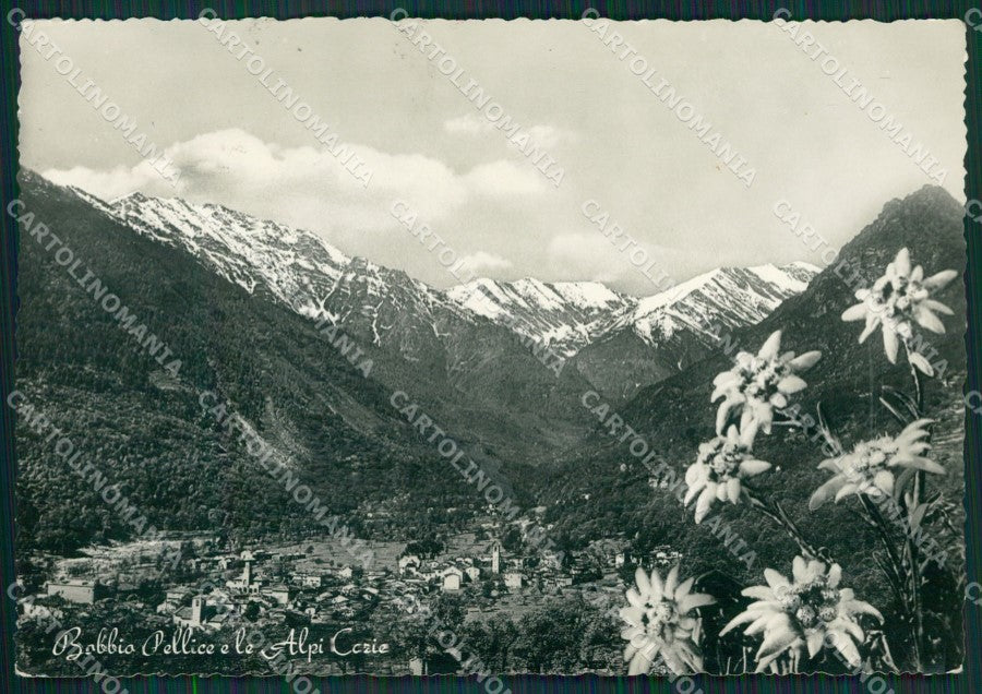 Torino Bobbio Pellice Stella Alpina Foto FG cartolina KB2228 – fronte