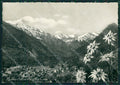 Torino Bobbio Pellice Stella Alpina Foto FG cartolina KB2228 – fronte