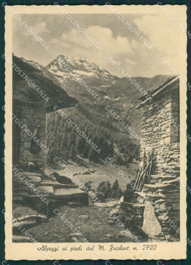 Alessandria Monte Friolent Alpeggi FG cartolina KB2275 – fronte