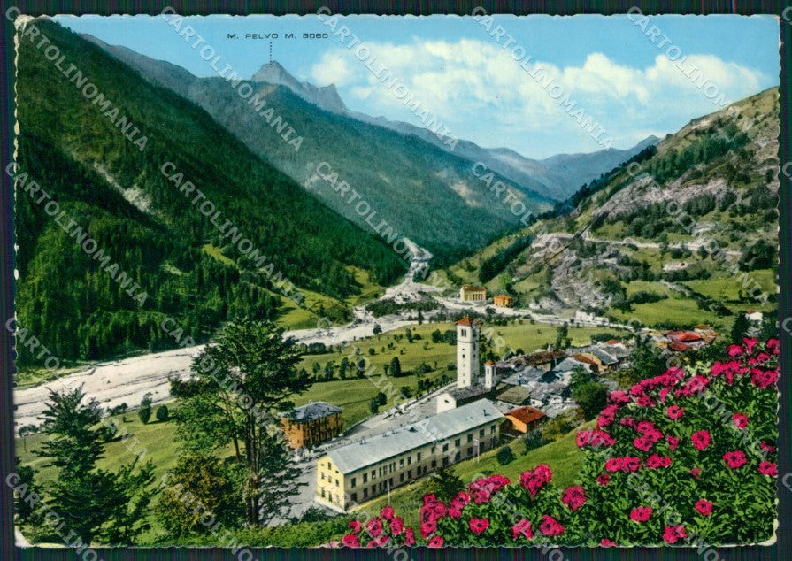 Cuneo Casteldelfino Monte Pelvo Foto FG cartolina KB2583 – fronte