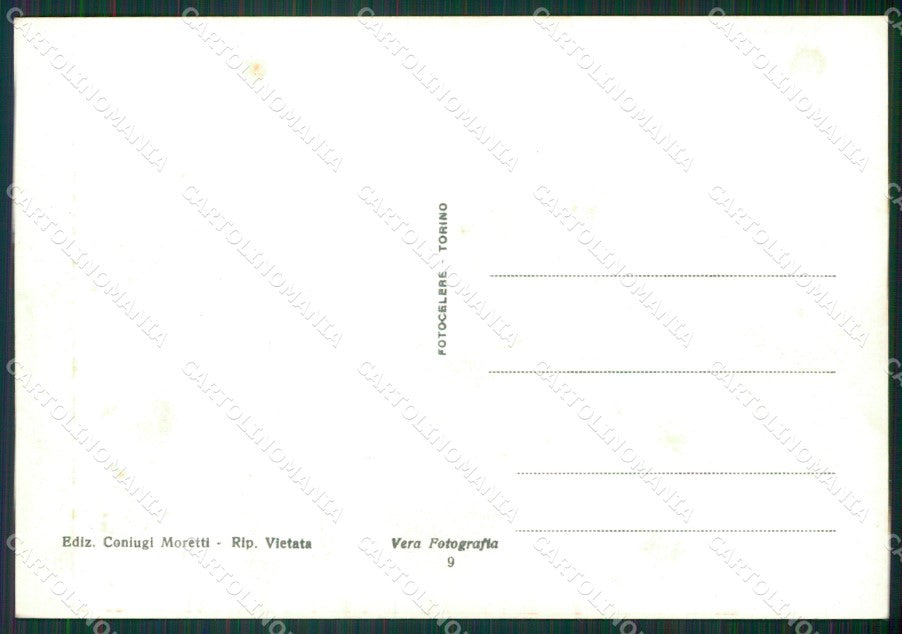 Torino Ceresole Reale Parco Gran Paradiso Stambecchi Foto FG cartolina KB2662 – retro
