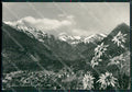 Torino Bobbio Pellice Stelle Alpine Alpi Cozie Foto FG cartolina KB2663 – fronte