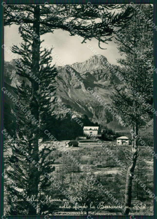 Torino Balme Pian della Mussa Bessanese Foto FG cartolina KB2724 – fronte