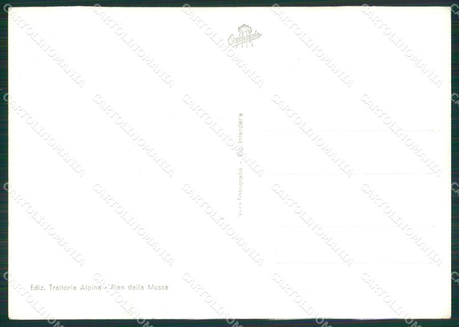 Torino Balme Pian della Mussa Bessanese Foto FG cartolina KB2724 – retro