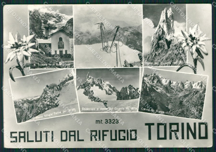 Aosta Courmayeur Rifugio Saluti da Stella Alpina Cai Foto FG cartolina KB2754 – fronte