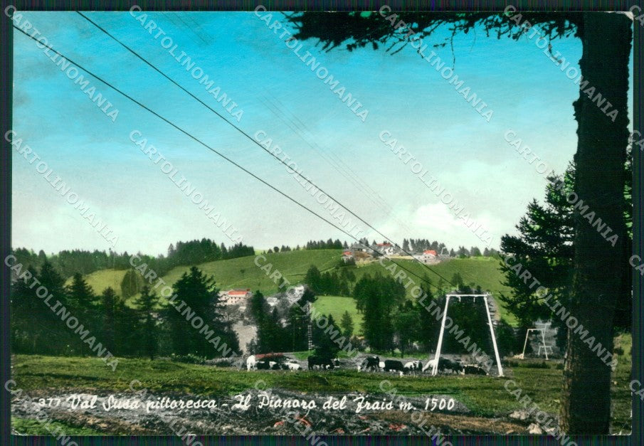 Torino Chiomonte Pianoro del Frais Teleferica Pascolo Foto FG cartolina KB2816 – fronte
