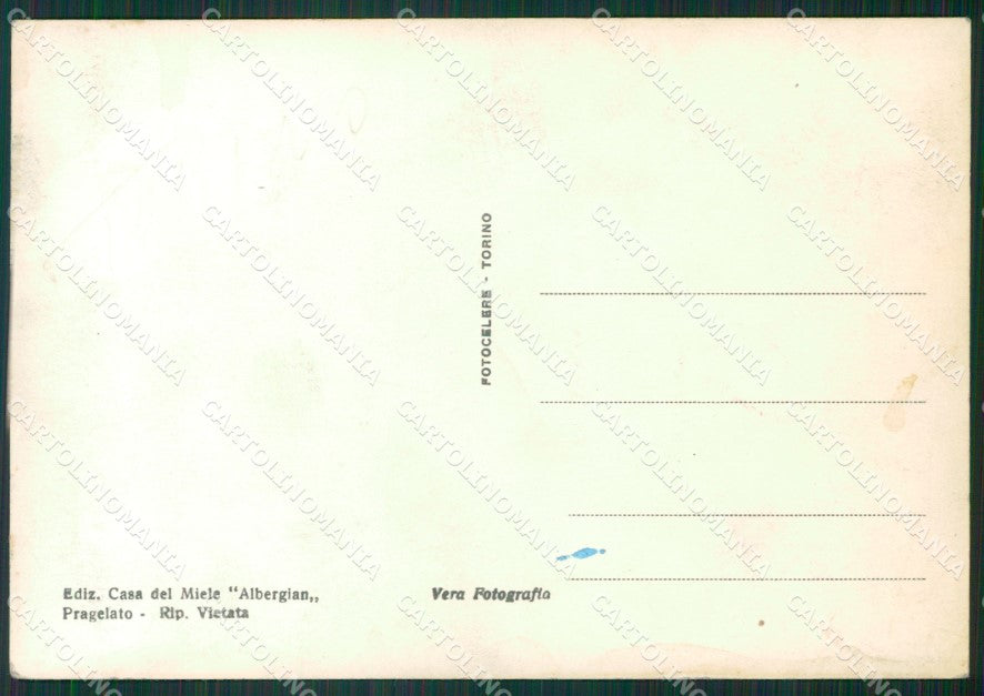 Torino Pragelato Val Chisone PIEGHE Foto FG cartolina KB2857 – retro