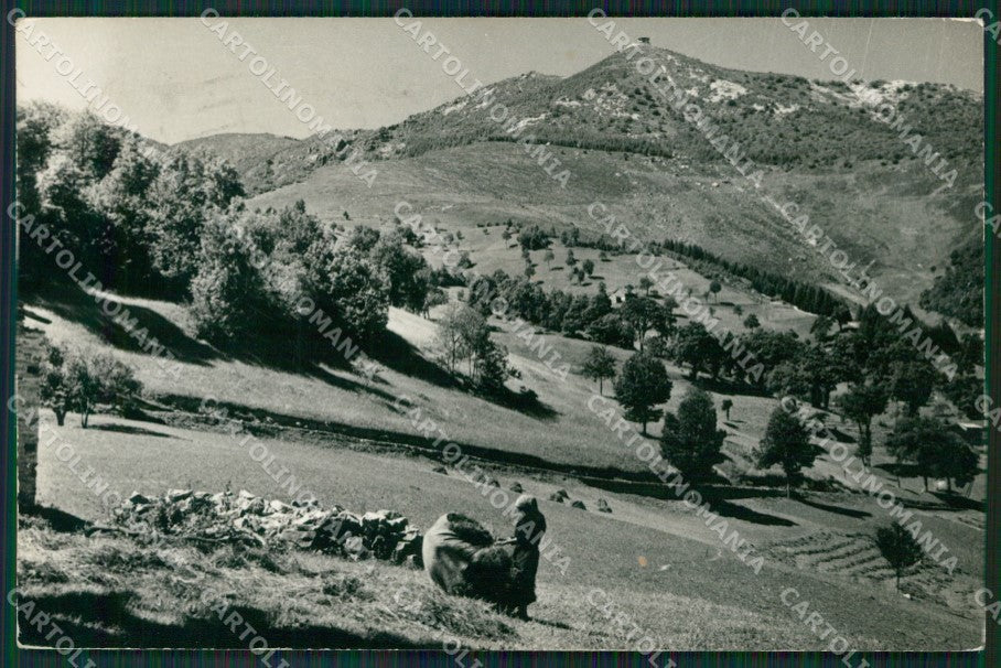 Cuneo Frabosa Soprana Monte Moro Foto FG cartolina KB2978 – fronte