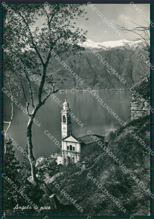 Como Menaggio Lago di Como Foto FG cartolina KB3040 – fronte