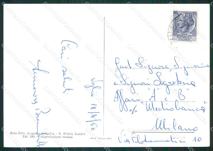 Como Valle d'Intelvi Mucche Foto FG cartolina KB3080 – retro