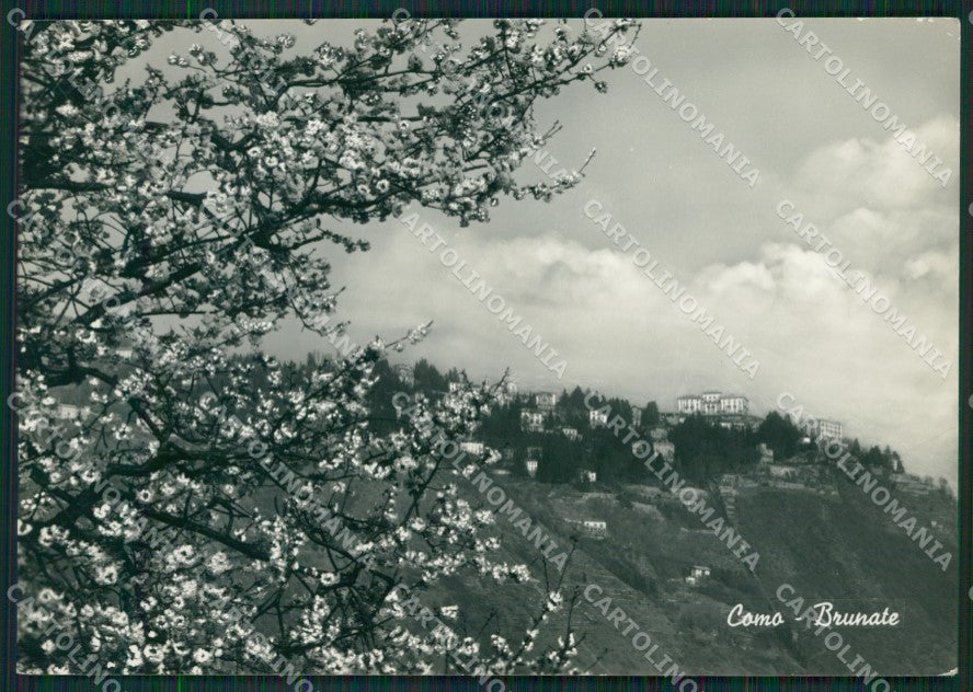 Como Brunate Lago di Como Foto FG cartolina KB3113 – fronte