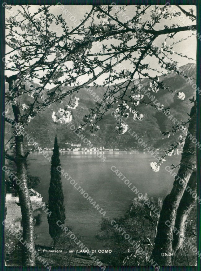 Como Lago di Foto FG cartolina KB3237 – fronte