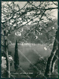 Como Lago di Foto FG cartolina KB3237 – fronte