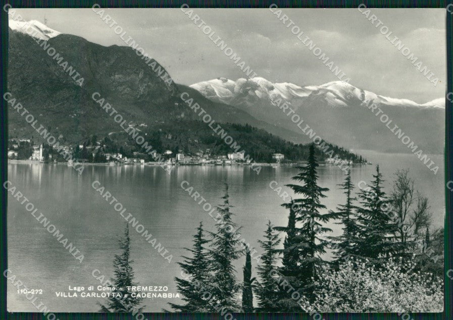 Como Tremezzo Villa Carlotta Lago di Como Foto FG cartolina KB3269 – fronte