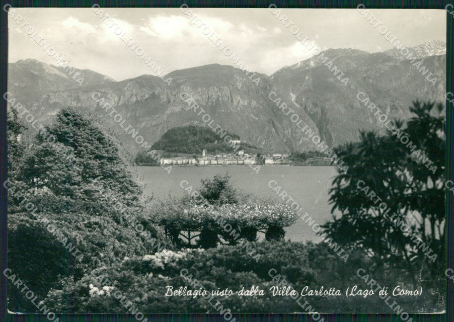 Como Bellagio Villa Carlotta lago di Como Foto FG cartolina KB3359 – fronte